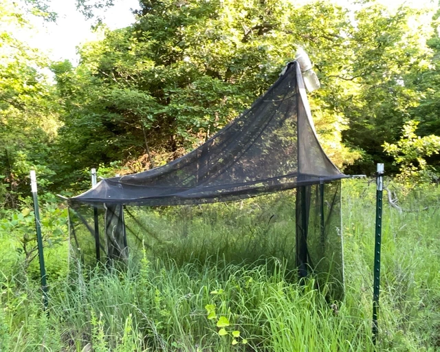Townes Style Malaise Trap Flight Intercept Insect Sampling Device Entomology