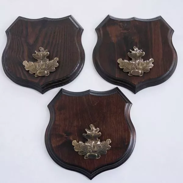 3x Armas Jabalí Escudo de Trofeo, Af 19cm, Hoja de Roble Portada Grande