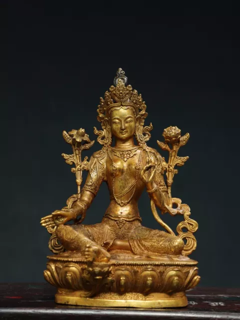 8.3" China old Tibetan Buddhism temple Bronze 24k gilt Green Tara Buddha statue