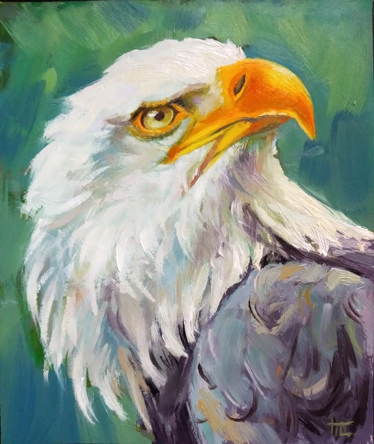 ORIGINAL OIL PAINTING Bald Eagle Great Bird of Prey 6x5 inch £25.66
