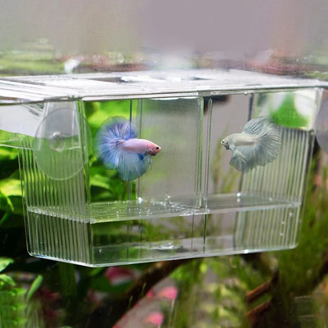 Fish Hatchery Isolation Net Fish Tank Aquarium Fish Breeding Breeder Box Baby