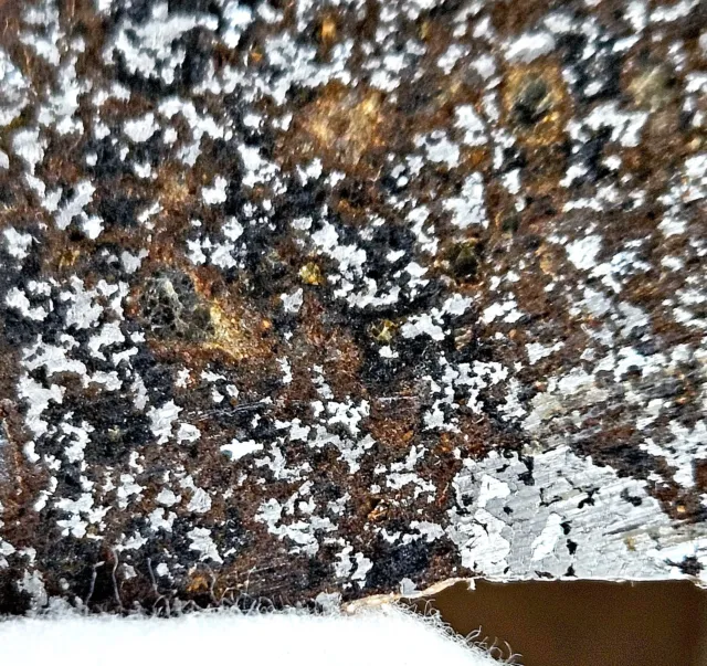 Rare Meteorite NWA 15015, Mesosiderite, Etched 36.6g Slice, COA