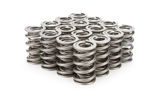 Pac Racing Springs 1.324 Dual Valve Springs - RPM Series (16) PAC-1209X