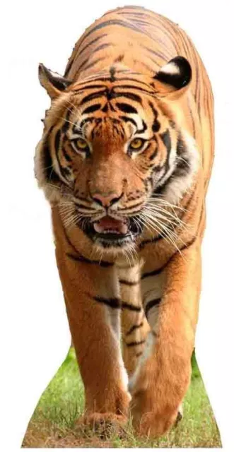 Tigre - Lifesize Silueta de Cartón / Figura Pie Wild Cat Animal Tema Selva Broma