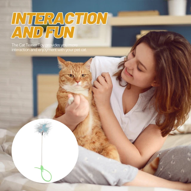 8 Pcs produits pour chat Chat Teaser Chat Plume Jouets Verts 2