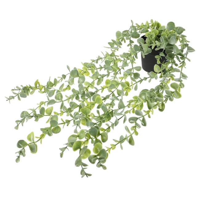 Set Di 4 Piante Finte Sospese Con Vaso – Foglie Di Eucalipto E Pothos – Per Decorazione Interni Ed Esterni – Lunghezza 70 Cm