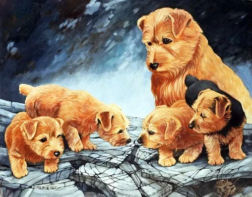 Norfolk Terrier Limited Edition Giclee Art Print "The First Hunting Trip"