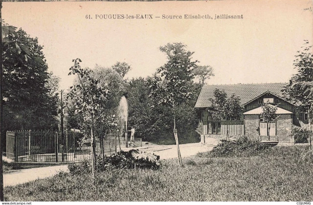 58 - POUGUES LES EAUX - S17128 - Source Elisabeth Jaillissant - L23