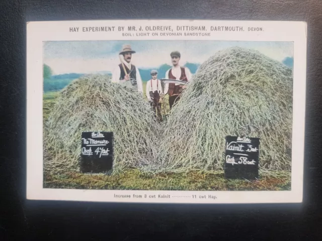Dittisham Dartmouth Postcard C1910 Devon Kainit Agriculture Advert Hay Yield