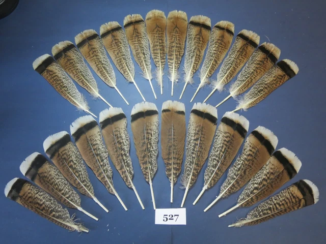 24 piezas Plumas Exóticas de Cola de Pavo, Atar Mosca, Pez de Agua Salada, Pavo Híbrido (527)