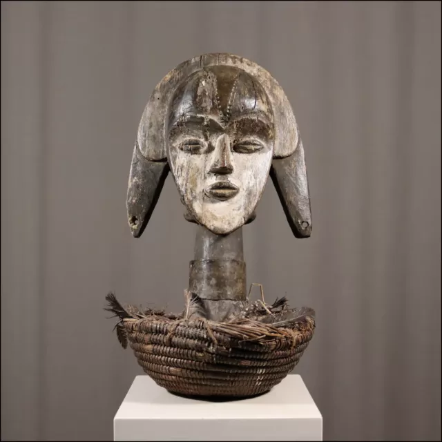 70798) Reliquiar-Kopf Tsogo Gabun Afrika Africa Afrique figure ART KUNST