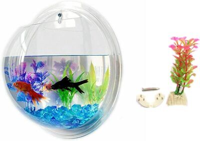 New Hanging Wall Mounted Fish Bowl Aquaponic Tank Aquariums Plant Fish Bubble