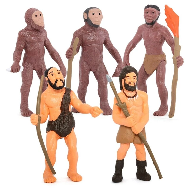Évolution de l'Homme et Hominisation | Évolution humaine | Homo