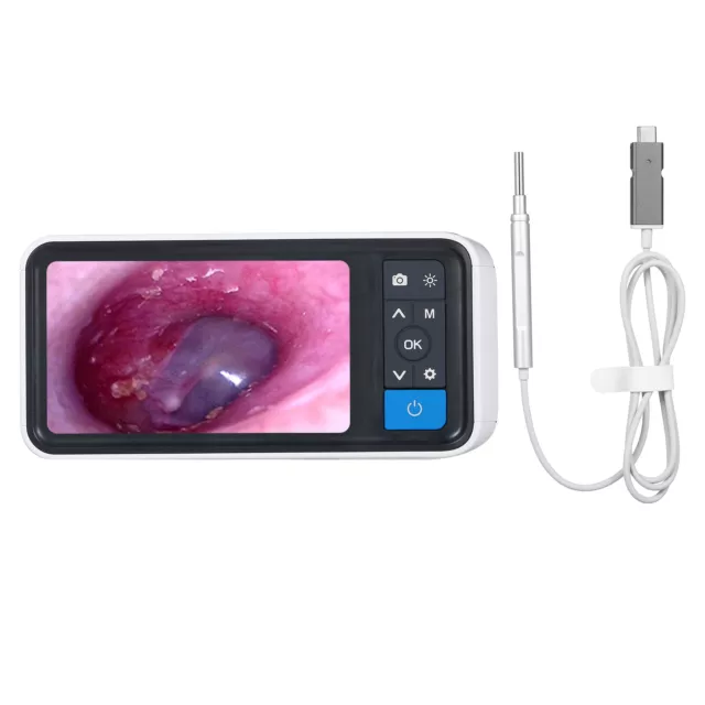 GS2 TRAGBARES DIGITALES Gerät Video-Laryngoskop Intubation der Atemwege  Endoskop EUR 539,00 - PicClick DE