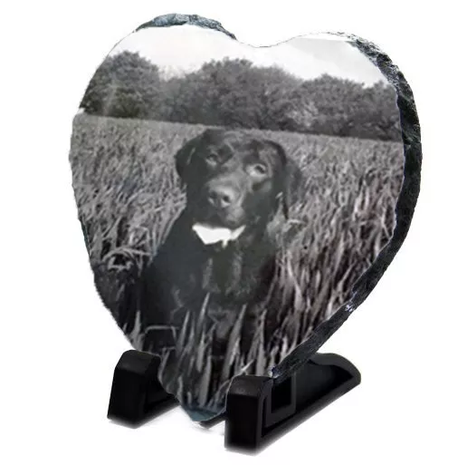 Pet Memorial Herz Fotopafel - personalisierte Schiefer & Ständer, Hund Katze Papagei usw.