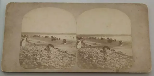 Beach J.A. Williams Newport Rhode Island Stereoview Photograph