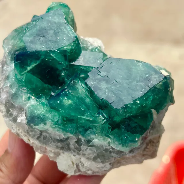 430G NATURAL Green FLUORITE Quartz Crystal Cluster Mineral Specimen.