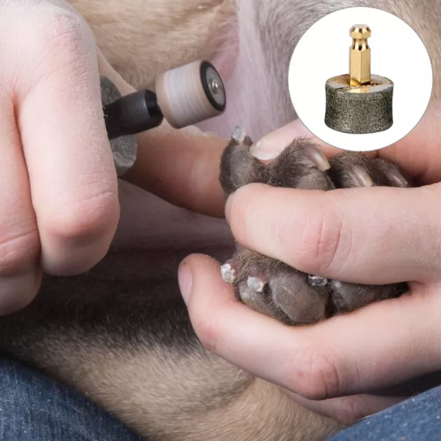 5 Pcs Fournitures Pour Animaux Coupe-ongles Électrique Aiguiser Majeur