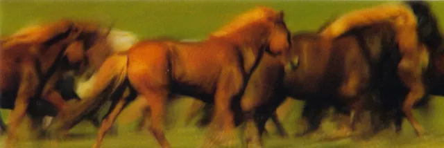 3 D / Lentikular - Wackel - Lesezeichen: Trabende Pferde - trotting Horses