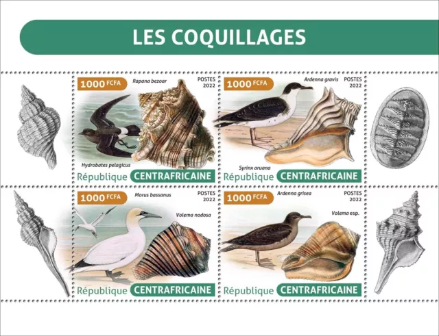 Shells Sea Birds MNH Stamps 2022 Central African Republic M/S