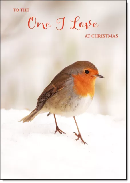 Doodlecards One I Love Christmas Card Robin on Snow