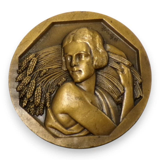 Médaille Art Déco Robert Cochet (c.1935) - Bronze Encadrée - Sans Rayures