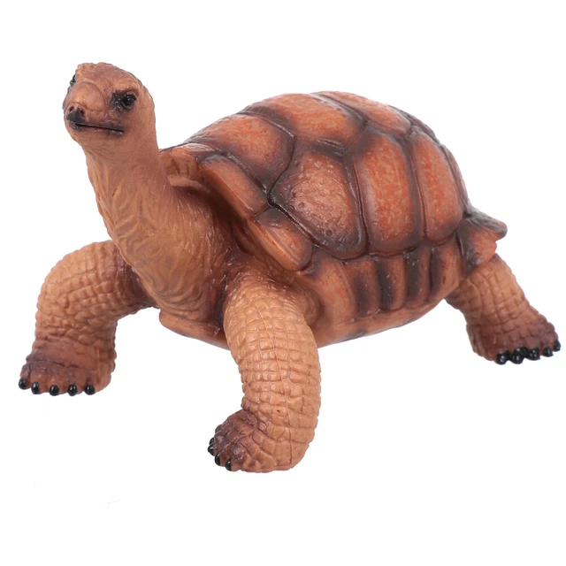 Statue animali selvatici modello tartarughe bambini piccoli giocattoli ornamenti