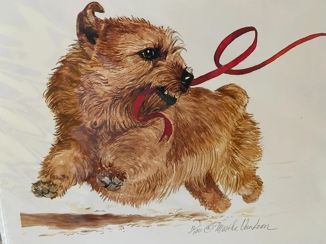 Norfolk Puppy   Limited Edition  Print By Van Loan 11x17
