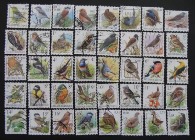 Belgique lot de 40 timbres théme oiseaux