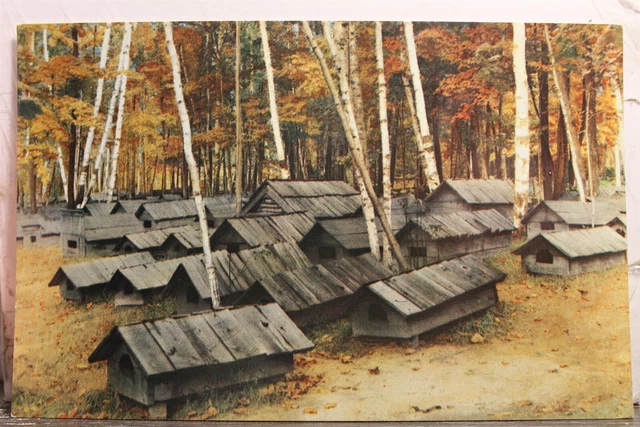 Michigan MI Iron River Crystal Falls Chicaugon Lake Postcard Old Vintage Card PC