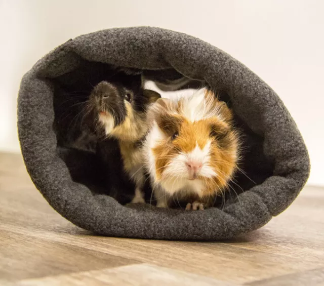 Bunny Fleecy Tunnel Nagertunnel Versteck Beschäftigung Meerschweinchen Kaninchen