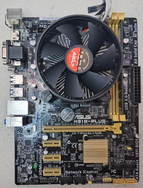Carte Mère ASUS H81M-P PLUS REV 1.00 - Socket 1150 - Occasion