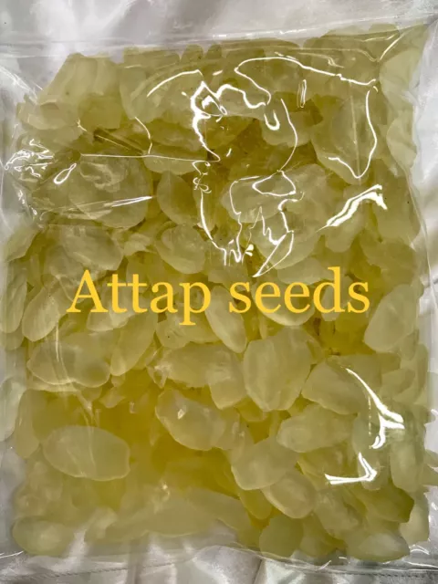 Dried Attap Seeds 1 Kg Natural Fruit Healthy Snack Thai Food Delicious Thailand