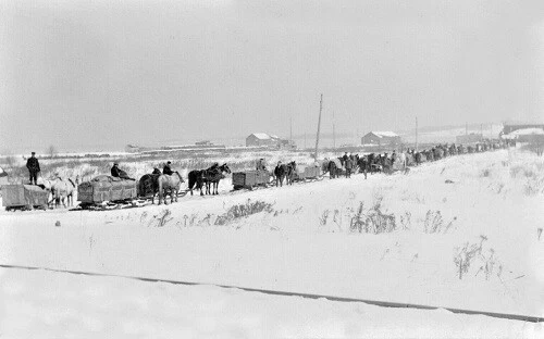 Winter Scene Hauling Potatoes Suttons Bay Michigan MI Reprint Postcard