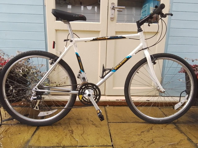 Raleigh discovery mountain bike cheap