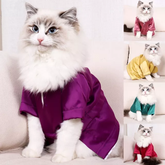 Vêtements de chat à la mode avec des motifs uniques confortables et faciles à