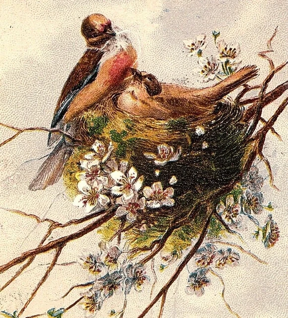 1880s Trade Autumn Cotton Card Clark's Spool Mile-End Victorian Birds Linnet