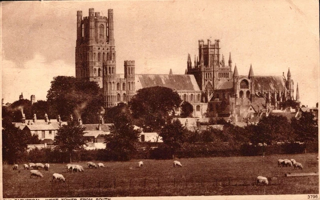 Vintage Postcard Ely Cathedral West Tower From The South