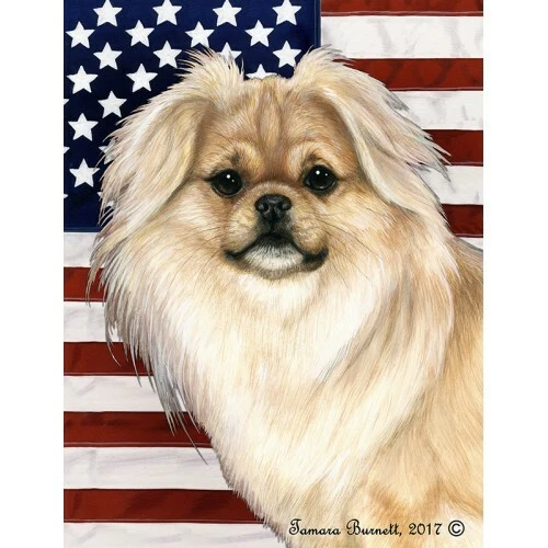Patriotic (D2) Garden Flag - Cream Sable Tibetan Spaniel 324751