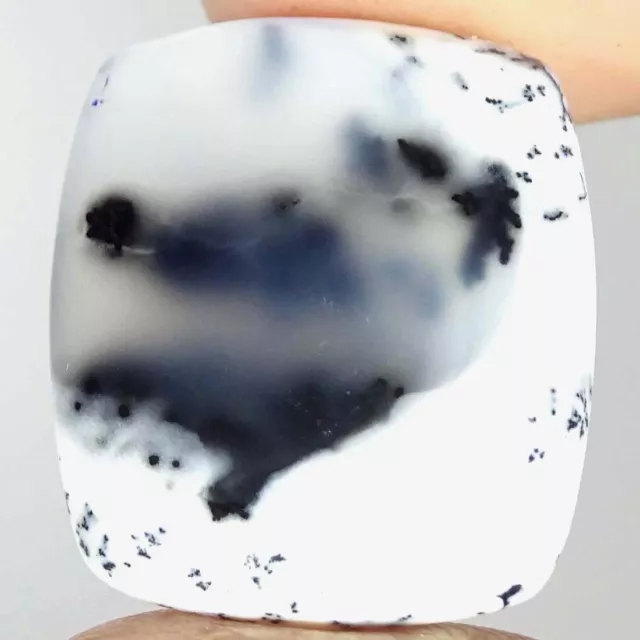 22.10Cts Natural Dendrite Opal Cushion Cabochon Loose Gemstones