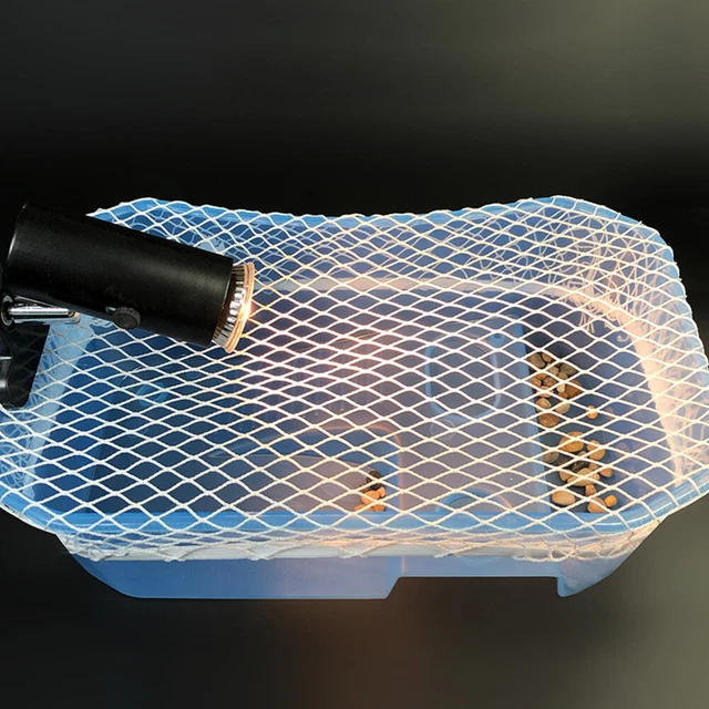 3 COUNT FLUCHTNETZ Für Schildkrötenbecken Katzen-Vampir-Kostüm Anti ...