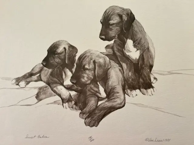 Irish Wolfhound  pups "sweet Babes"  ltd Edition Print 11x17 By Van Loan signed