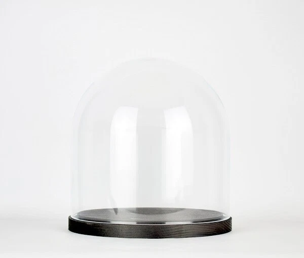 Présentoir cloche cloche en verre circulaire transparent soufflé à la bouche de taille moyenne 30 cm - France Présentoir cloche cloche en verre circulaire transparent soufflé à la bouche de taille moyenne 30 cm - France