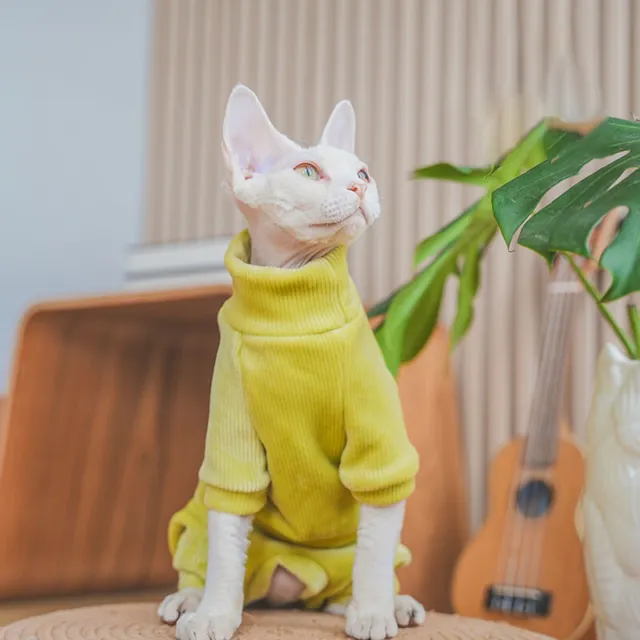 Hairless Cat Pet Sweater Hoodie Winter Warm Sphynx Cat Comfortable Clothes NEW