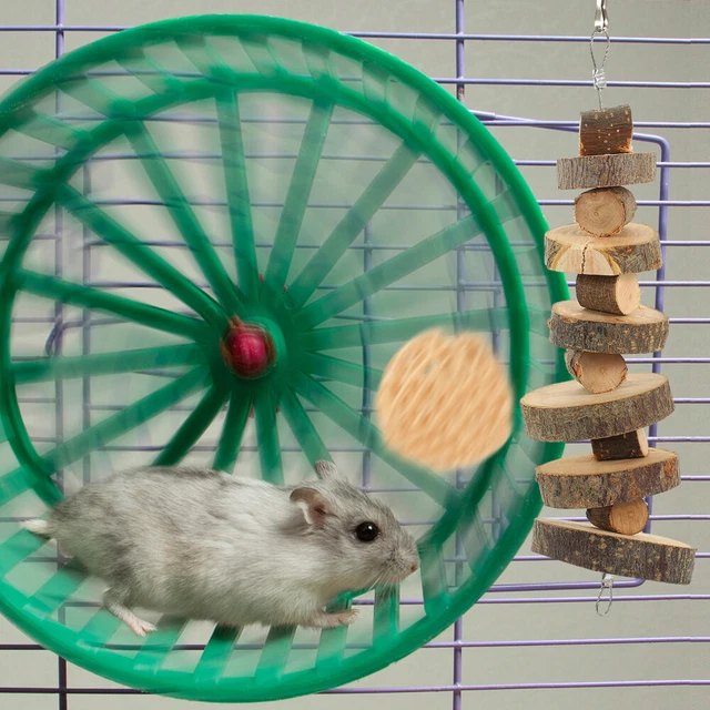 1 Set Hamster zahler Spielzeug Kaninchen kauen Spielzeug Hase Kauthings