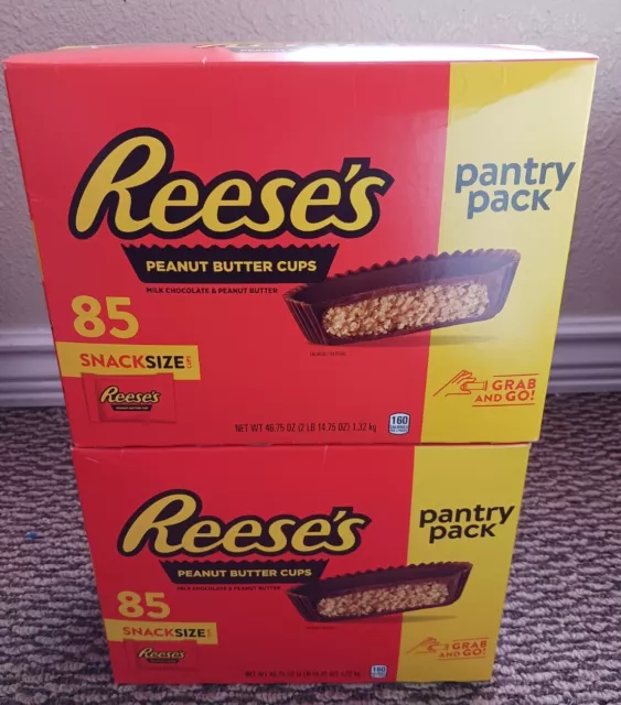 2Box Reese's Milk Chocolate Snack Size Peanut Butter Cups Candy-Pantry Pack 85CT