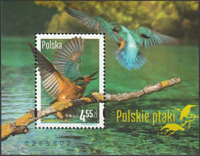 Poland 2013 - Polish birds (I) - Fi bl 245 MNH**