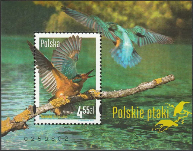 Polen 2013 - Polnische Vögel (I) - Fi bl 245 postfrisch **