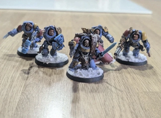 Space Wolves: Wolf Guard Terminators | Box 5 | 33,81 € iva | ottieni la spedizione gratis su