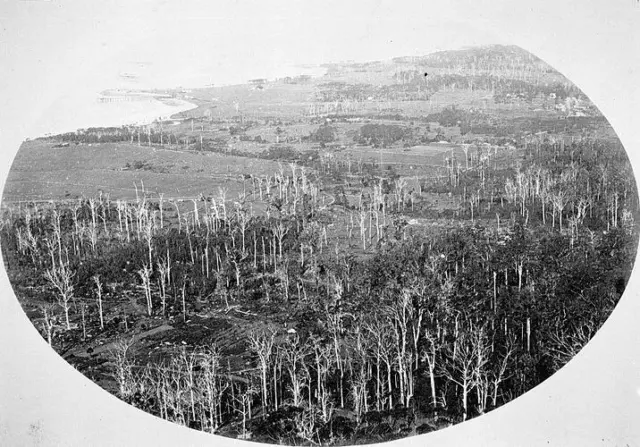 Mount Bulli, NSW, 1878 The coast from Mount Keiron The Bulli Coal Co Old Photo